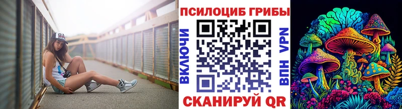 закладка  Красноярск  Псилоцибиновые грибы Magic Shrooms 